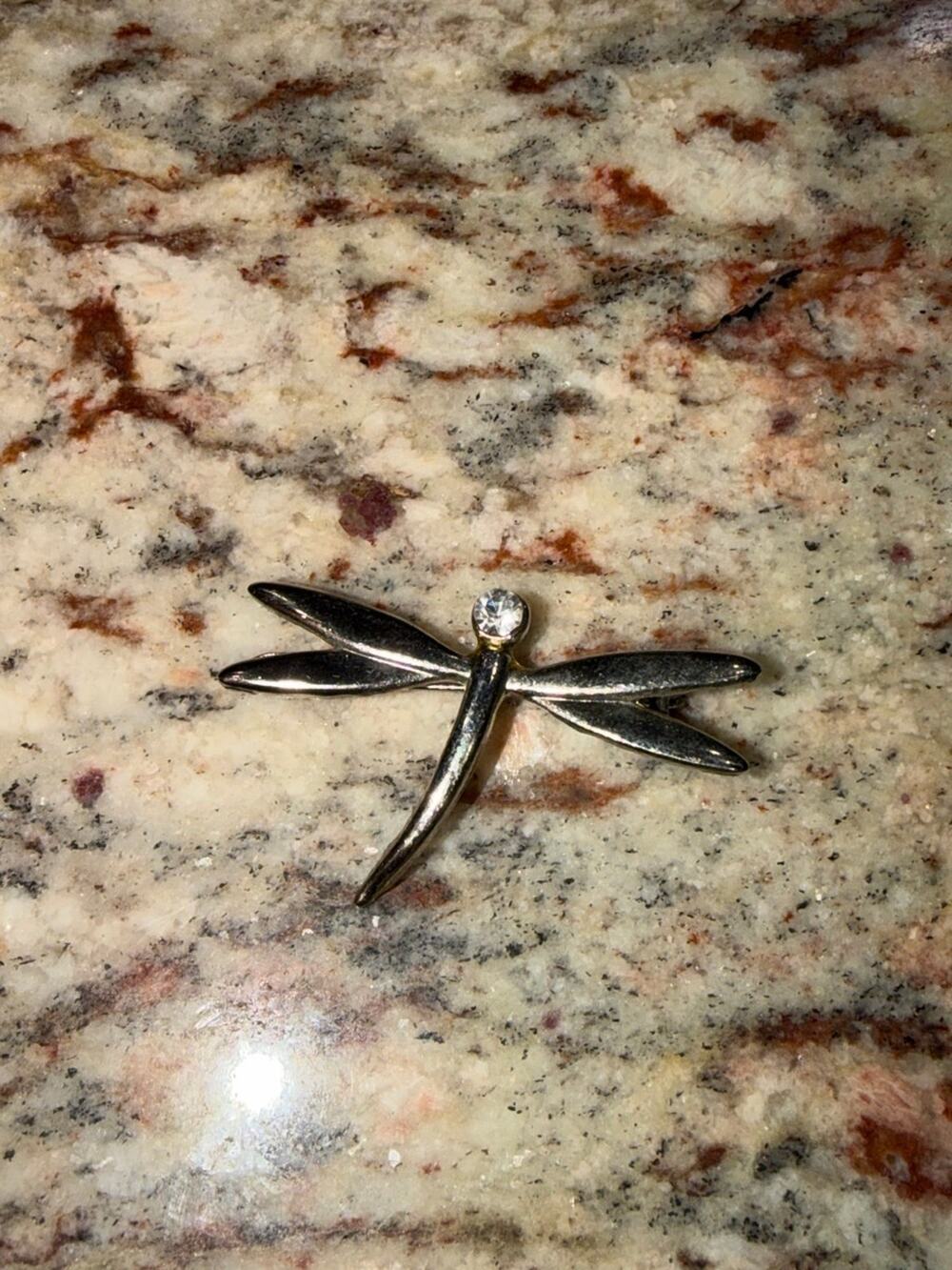 Silver-Tone Dragonfly Brooch with Rhinestone Head